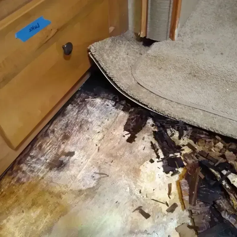 Best Wood Floor Water Damage Service in Ashland, MA